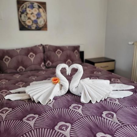 Casa Ana Apartment คลูจ-นาโปกา ภายนอก รูปภาพ