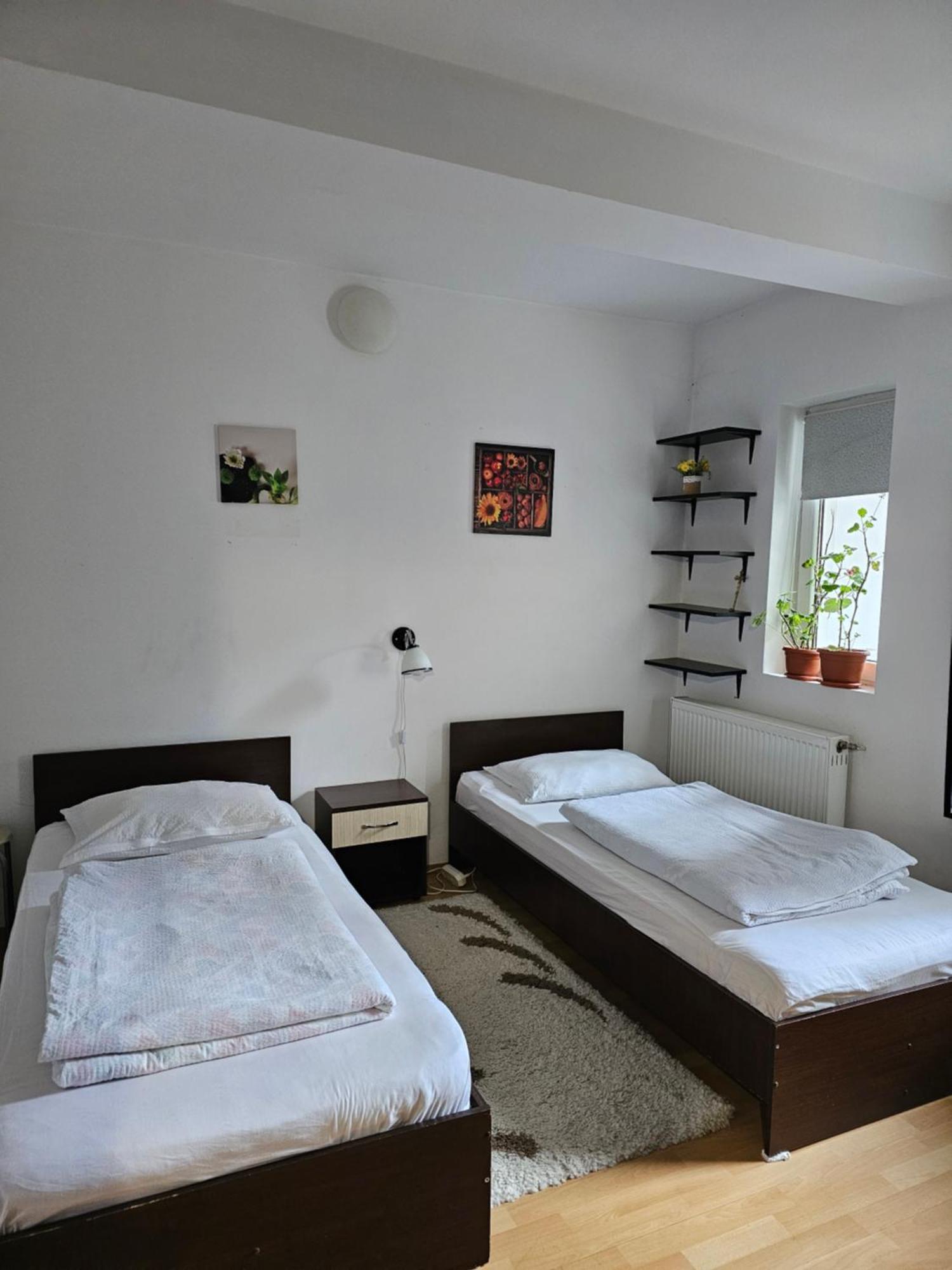 Casa Ana Apartment คลูจ-นาโปกา ห้อง รูปภาพ