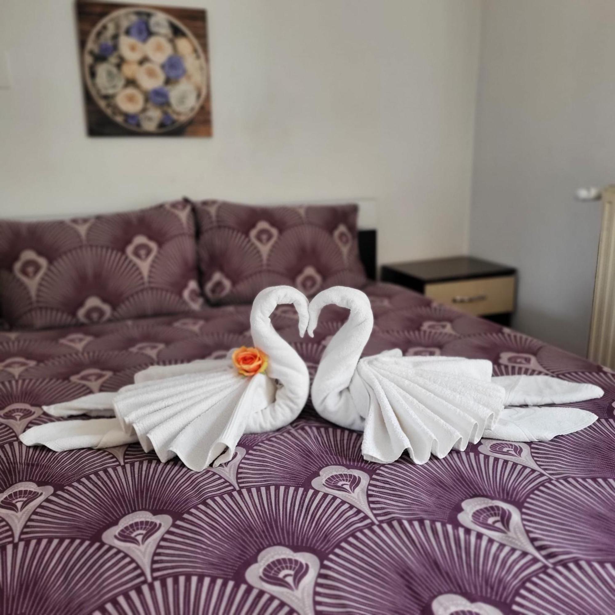 Casa Ana Apartment คลูจ-นาโปกา ภายนอก รูปภาพ